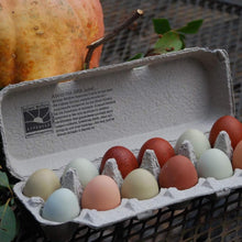 Load image into Gallery viewer, AWA Rainbow Eggs
